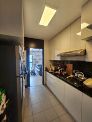 Blk 1C The Pinnacle@Duxton (Bukit Merah), HDB 4 Rooms #502496261